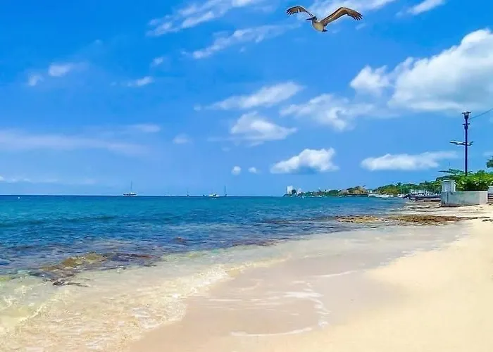 Amplio Estudio En Cozumel, Privado E12 Cozumel